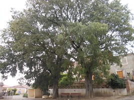 Place de l'église